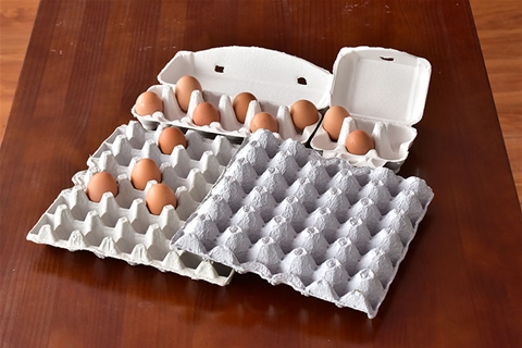 Exhibition Of Egg Holder Products