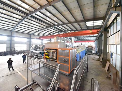 Egg Holder Molding Machine