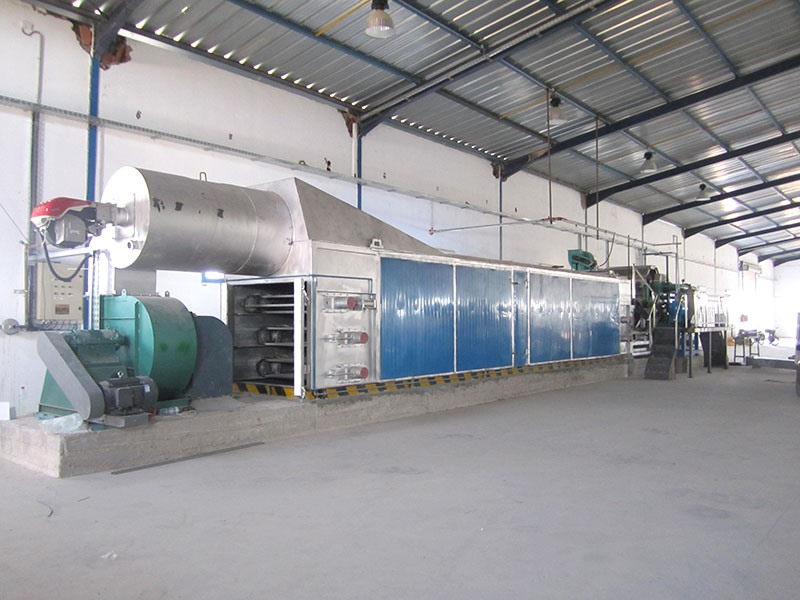 Pulp Molding Machine