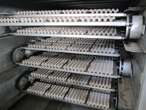 Egg carton machine5,000-4,800 tablets per hour4