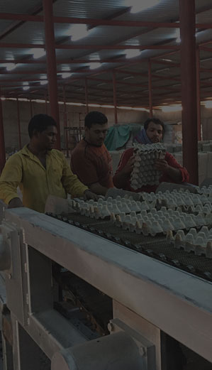 Pulp molding machine,Egg tray machine ,Egg carton machine, Apple tray machine