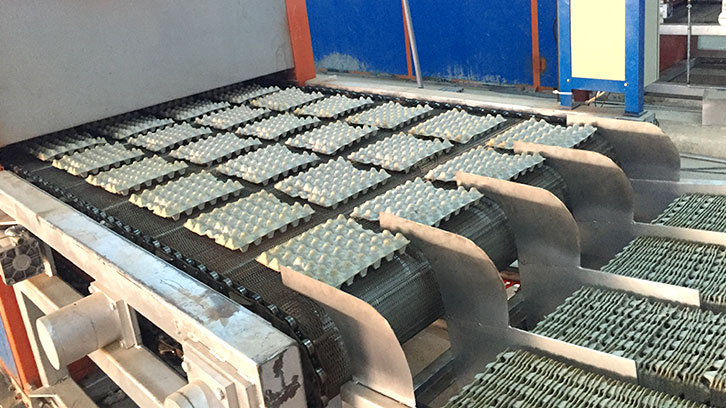 Egg carton machine